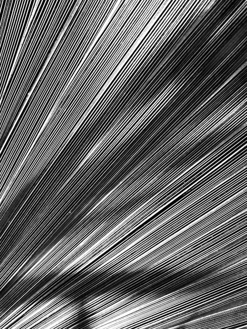 Anatomy of Movement Texture